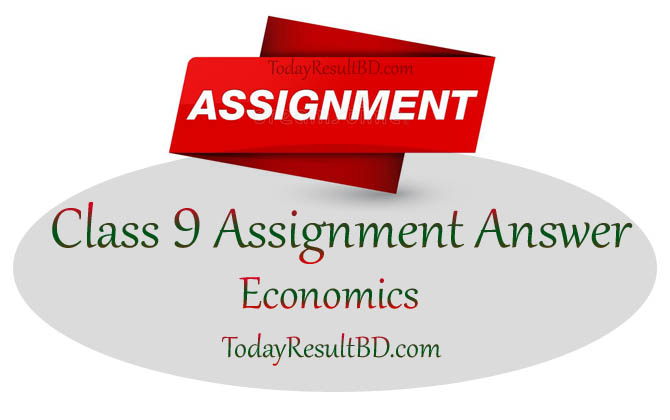 Class 9 Economics Assignment Answer